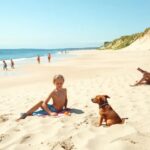 Berømt dikt om havet