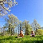 Dikt om skogen: en hyllest til naturen