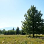 Tor Ulven dikt og eksistensielle temaer